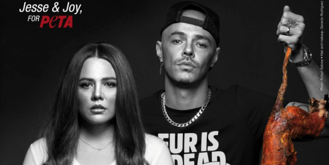 Jesse & Joy: Here’s the Rest of Your Fur Coat