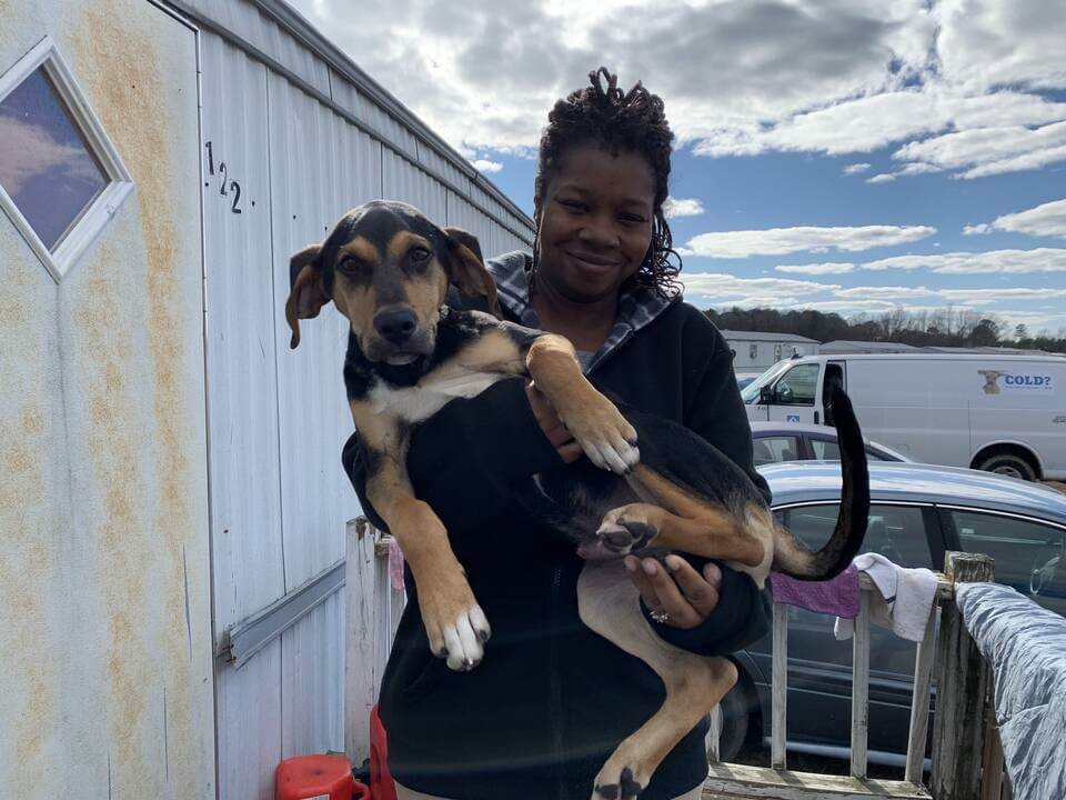 Jojo, a dog helped by PETA
