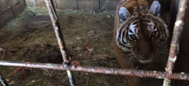 Tri-State Zoological Park