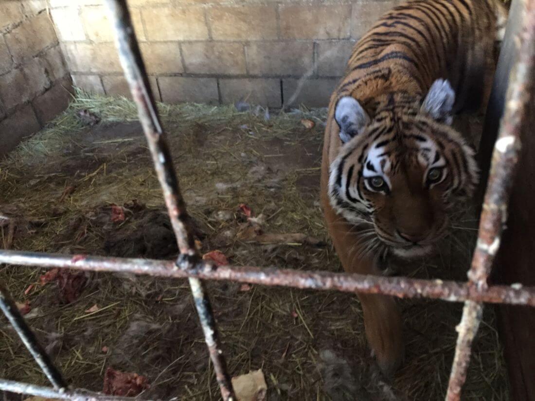 Tri-State Zoological Park