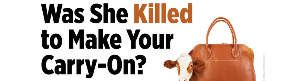 Was She Killed to Make Your Carry On Ad
