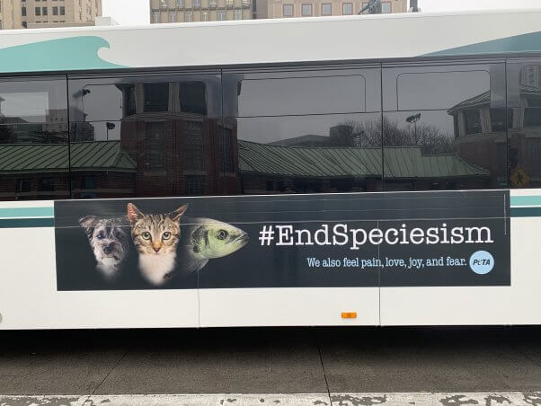 End Speciesism Bus Ad for Lent