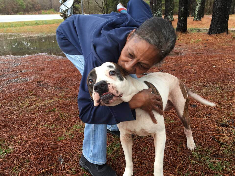 Scarface, a dog helped by PETA fieldworkers, with guardian