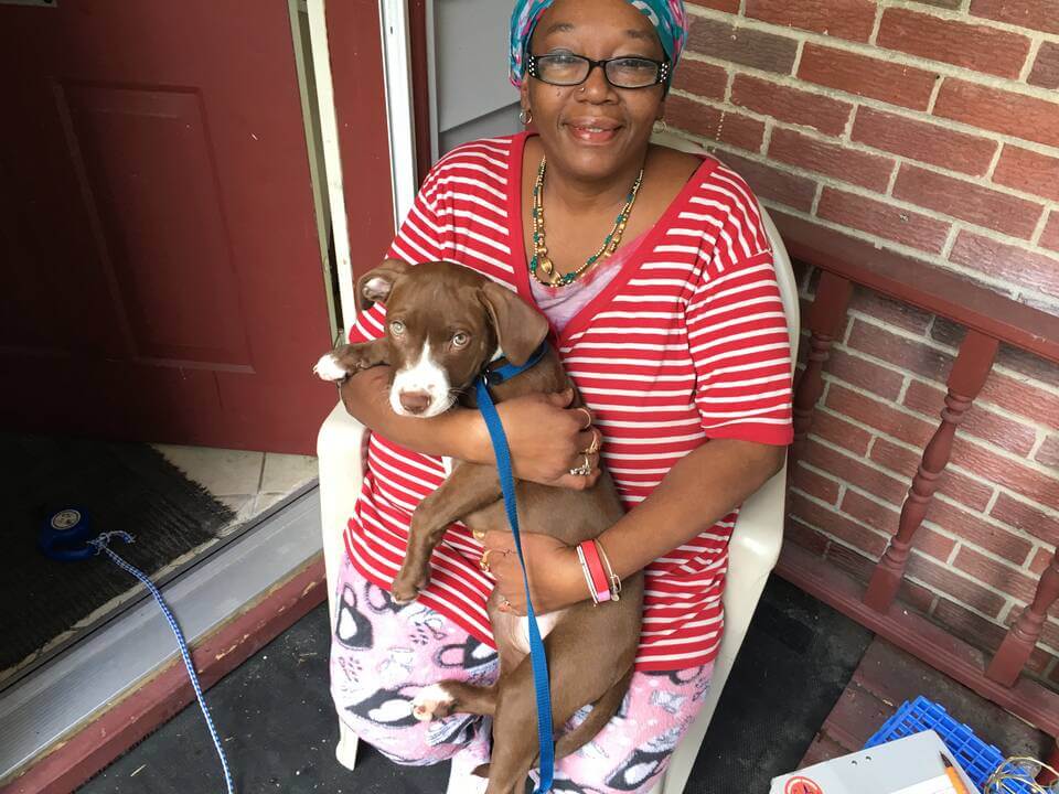 Spiderman, a dog helped by PETA