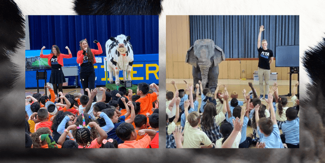 Carly the Cow and Ellie the Elephant teach students empathy in school. Invite this cow and elephant to your school.