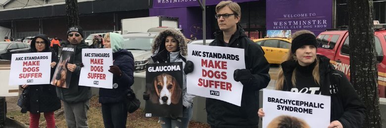 PETA Protesters in front of Westminster Kennel Club Dog Show