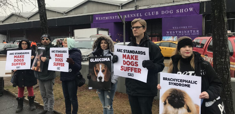 PETA Protesters in front of Westminster Kennel Club Dog Show