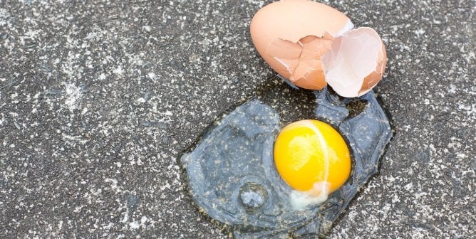 Drop the Egg Experiment in Favor of Humane STEM Activities