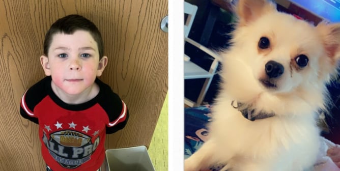 hero to animals award noah woods saves dog burning home