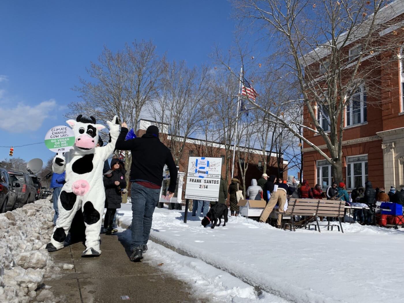 peta climate change cow new hampshire primary