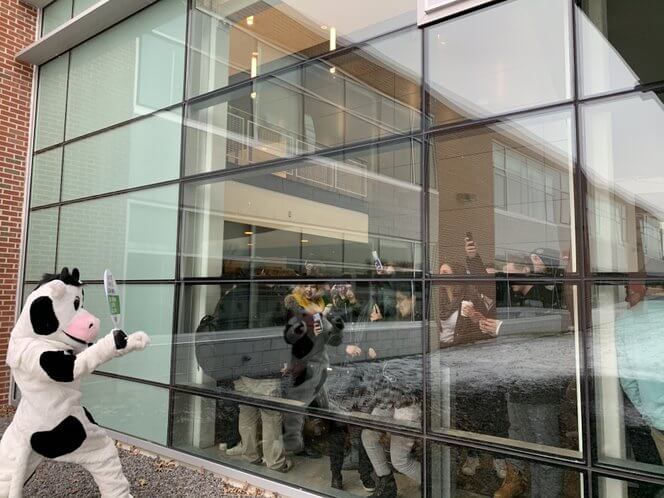 peta climate change cow new hampshire primary