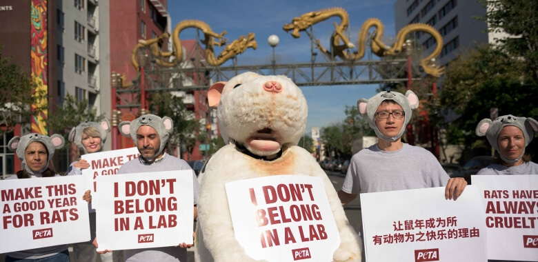 Rats protest animal tests in Chinatown