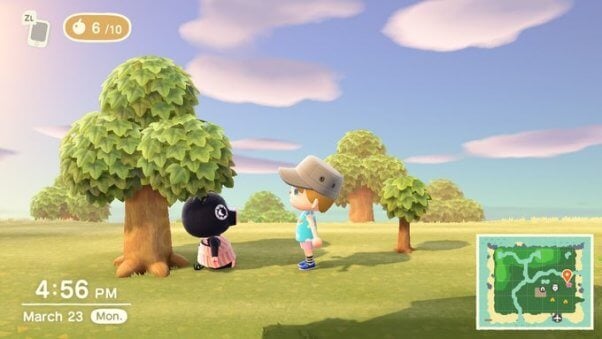 Agnes the pig in animal crossing game