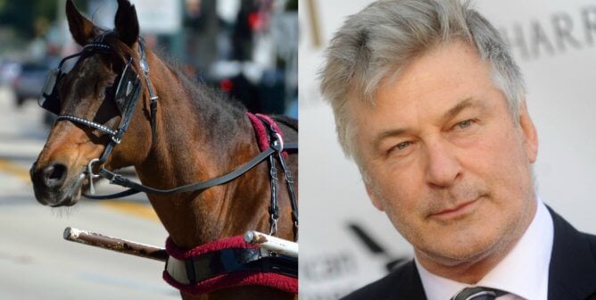 Alec Baldwin to NYC Mayor: Stop Horse-Drawn Carriages During Coronavirus