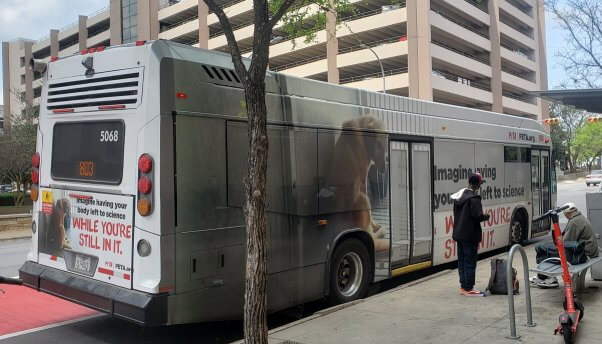 PETA's TAMU Ad Campaign Running on Austin Buses