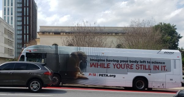 PETA's TAMU Ad Campaign Running on Austin Buses