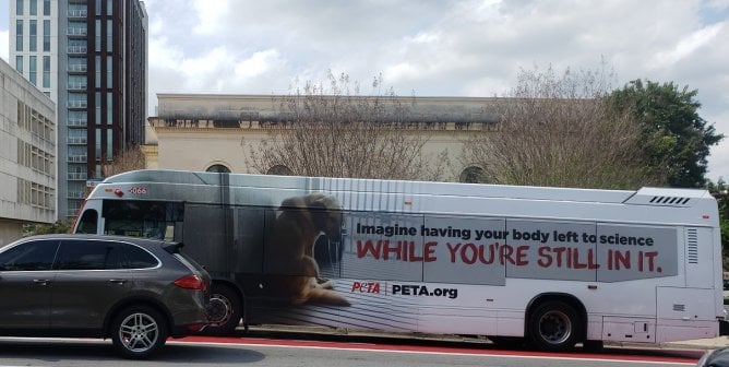 Texas A&M Can’t Hide As PETA’s Dog Lab Ads Take Over Austin