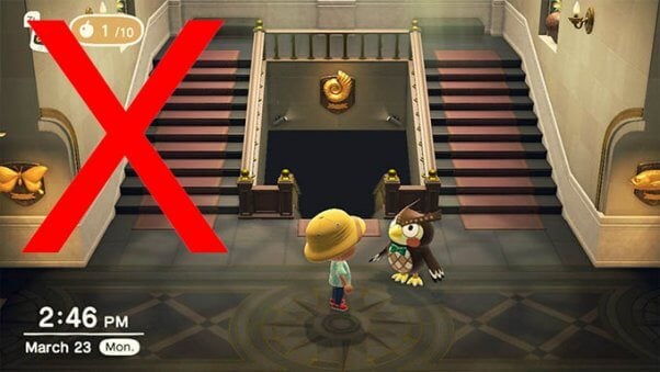 Blathers Museum in Animal Crossing New Horizons