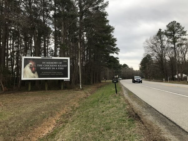 In Memory of the Chickens Killed Nearby in a Fire Billboard