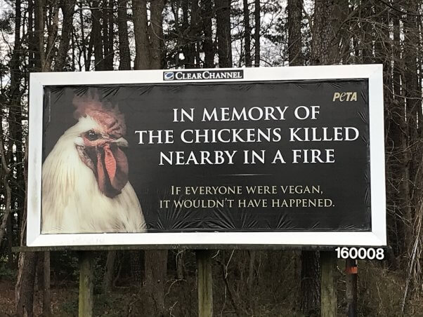 In Memory of The Chickens Killed in a Fire Billboard