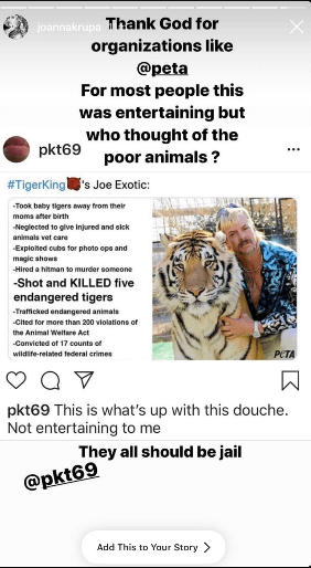 Screenshot of Instagram Story Tiger King