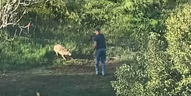 PETA Awards California Couple Who Caught a Killer on Camera