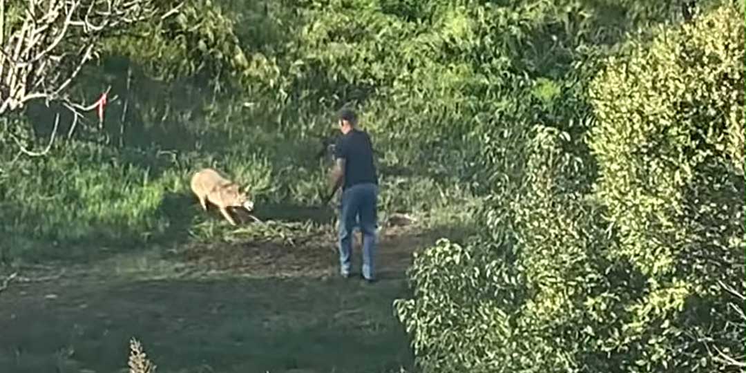 PETA Awards California Couple Who Caught a Killer on Camera PETA