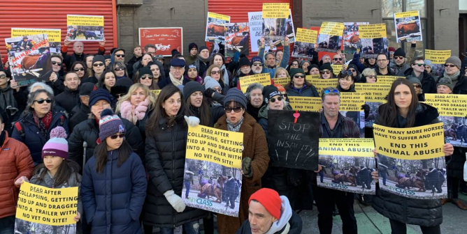 Horse Forced to Pull Carriages in Central Park Collapses, Prompting Protests