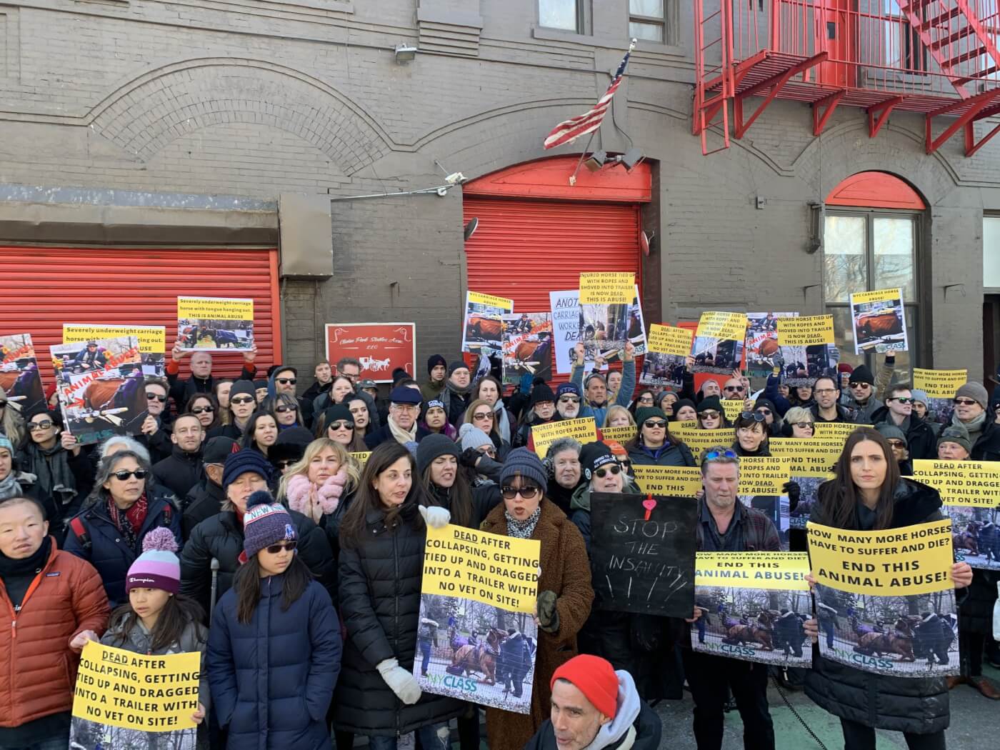 carriage horse dies in NYC, prompting protest