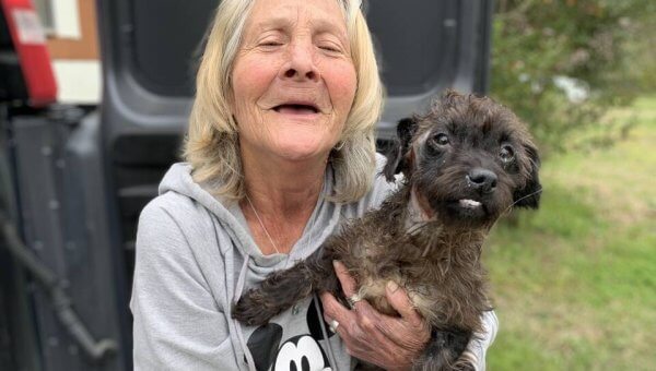 Ringo the dog and Guardian