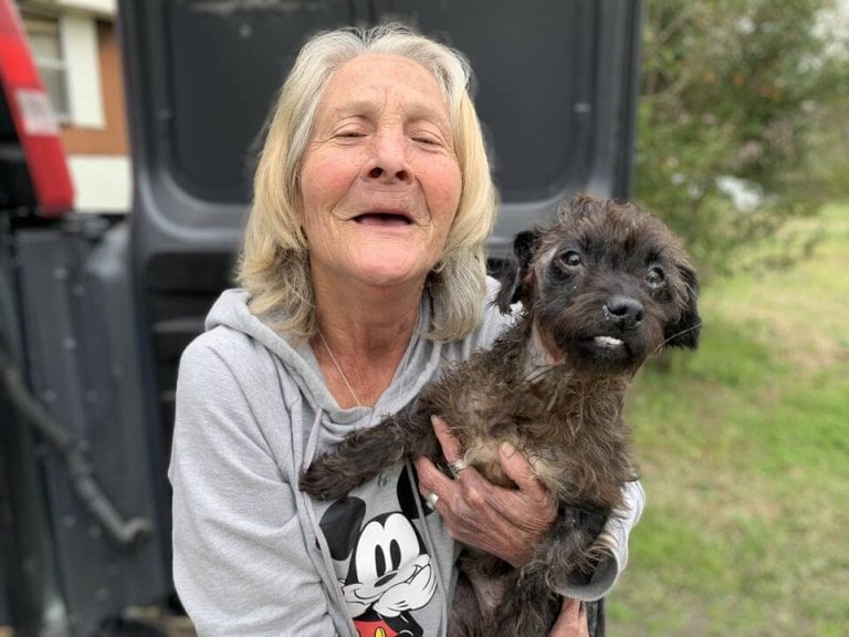 Why PETA 'Kills' Animals and How PETA Helps Animals PETA