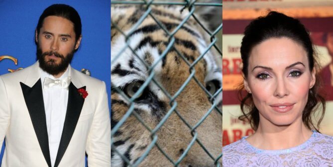 Celebrities on right and left with a fenced-in tiger in the middle