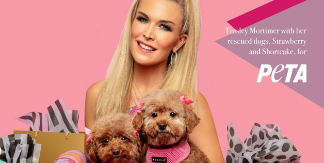 Tinsley Mortimer PETA adoption ad