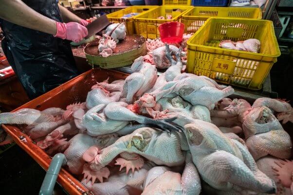 Vendor chops newly-delivered chicken carcasses at a wet market in Taipei.