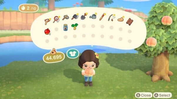 Vegan Food in Animal Crossing New Horizons videogame