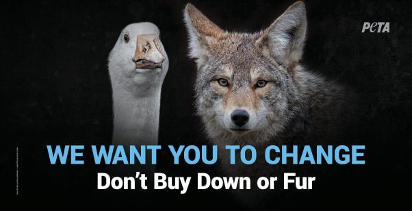 We Want You to Change Billboard