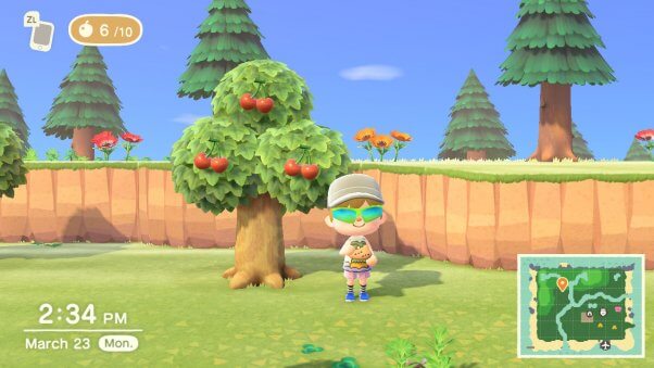 vegan food in animal crossing videogame