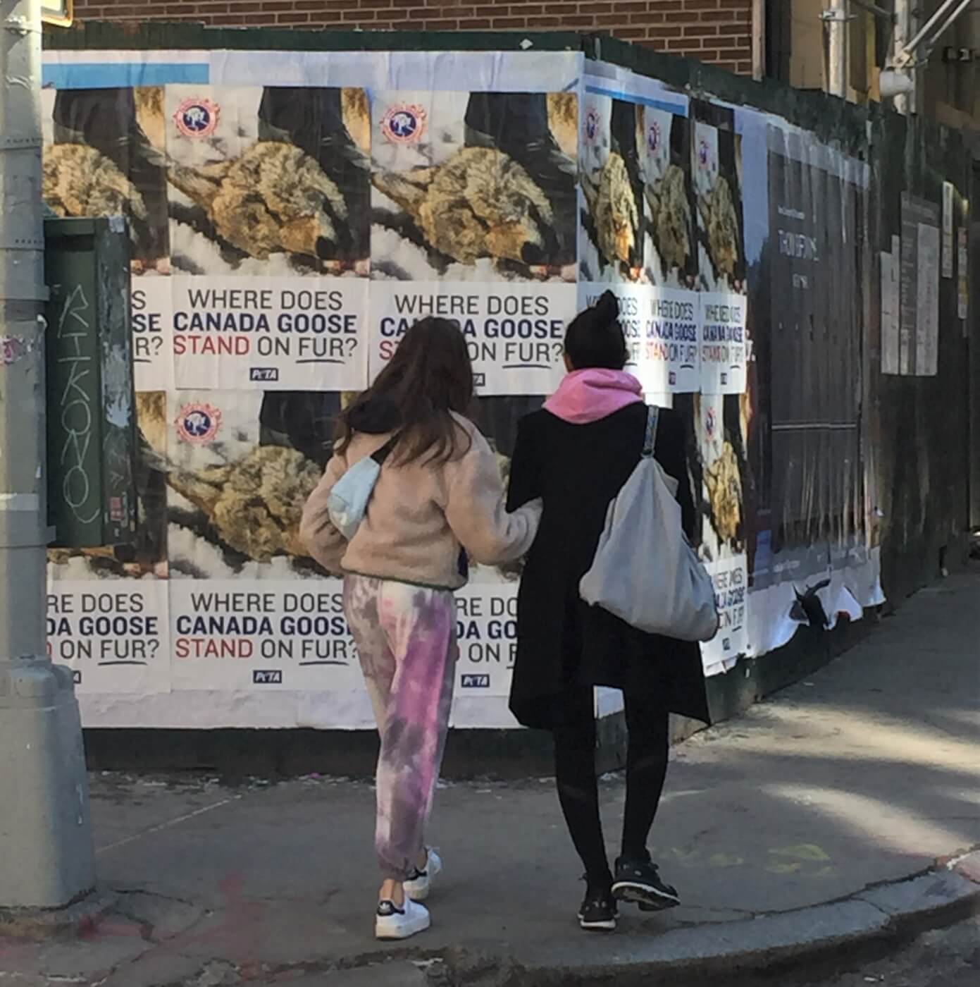 canada goose ads new york city