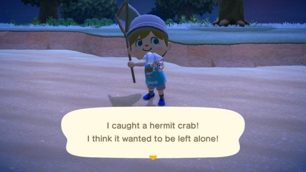 Catching Hermit Crabs in Animal Crossing Videogame