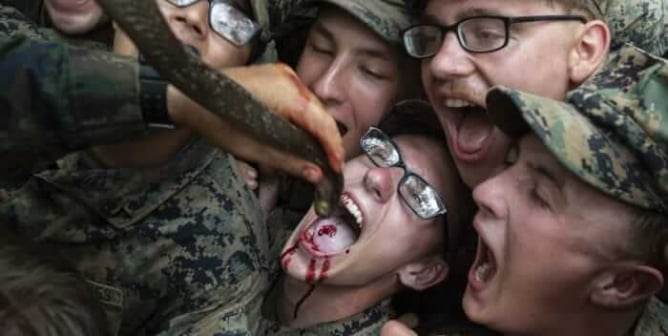 U.S. Marines Kill Cobras, Drink Their Blood for Cobra Gold 'Training'