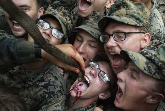 U.S. Marines Kill Cobras, Drink Their Blood for Cobra Gold 'Training'