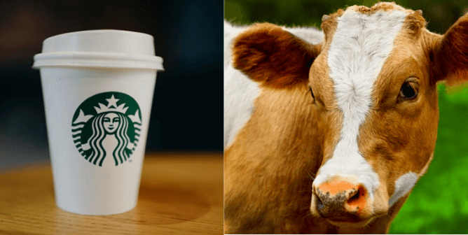 Give Starbucks a Wake-Up Call Today!