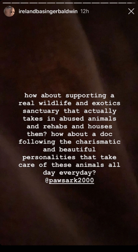 Ireland Baldwin Instagram screenshot