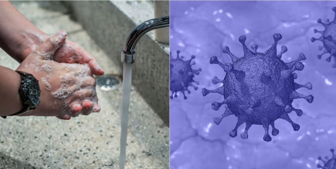 meat and the coronavirus FAQ