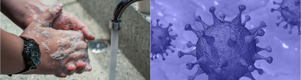 meat and the coronavirus FAQ