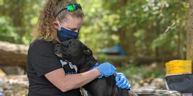peta fieldworker and dog, breaking the chain