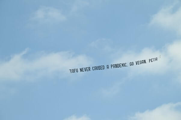 tofu never caused a pandemic plane banner miami flyover peta 2021