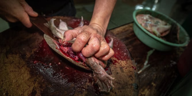 live-animal market in Taiwan