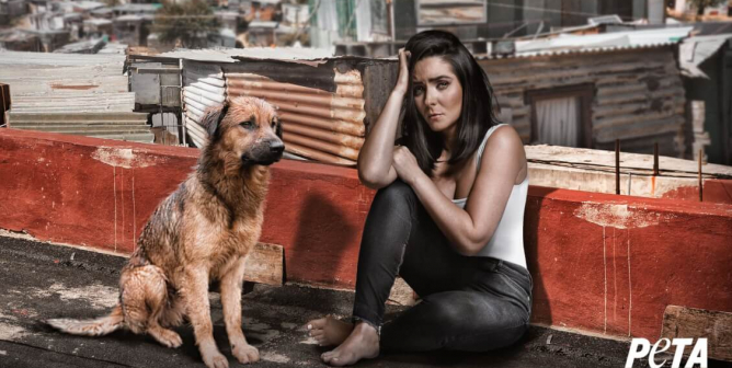 Ariadne Díaz: Ellos no nos abandonarían
