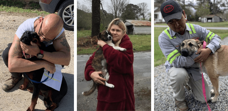 Three guardians and their animal companions